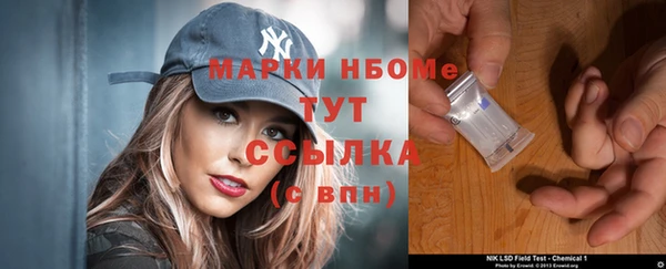 PSILOCYBIN Алзамай