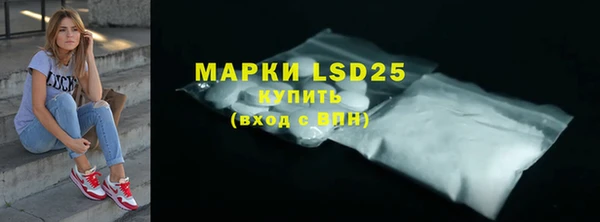 PSILOCYBIN Алзамай