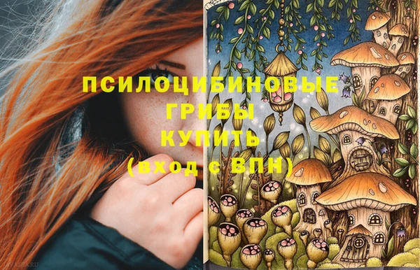 таблы Алексин