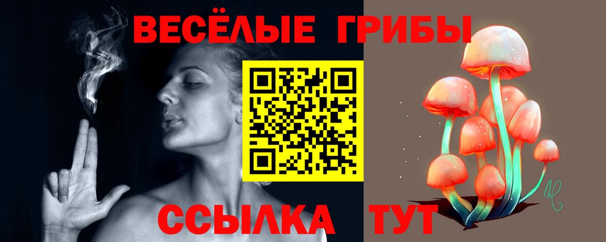Псилоцибиновые грибы прущие грибы Казань